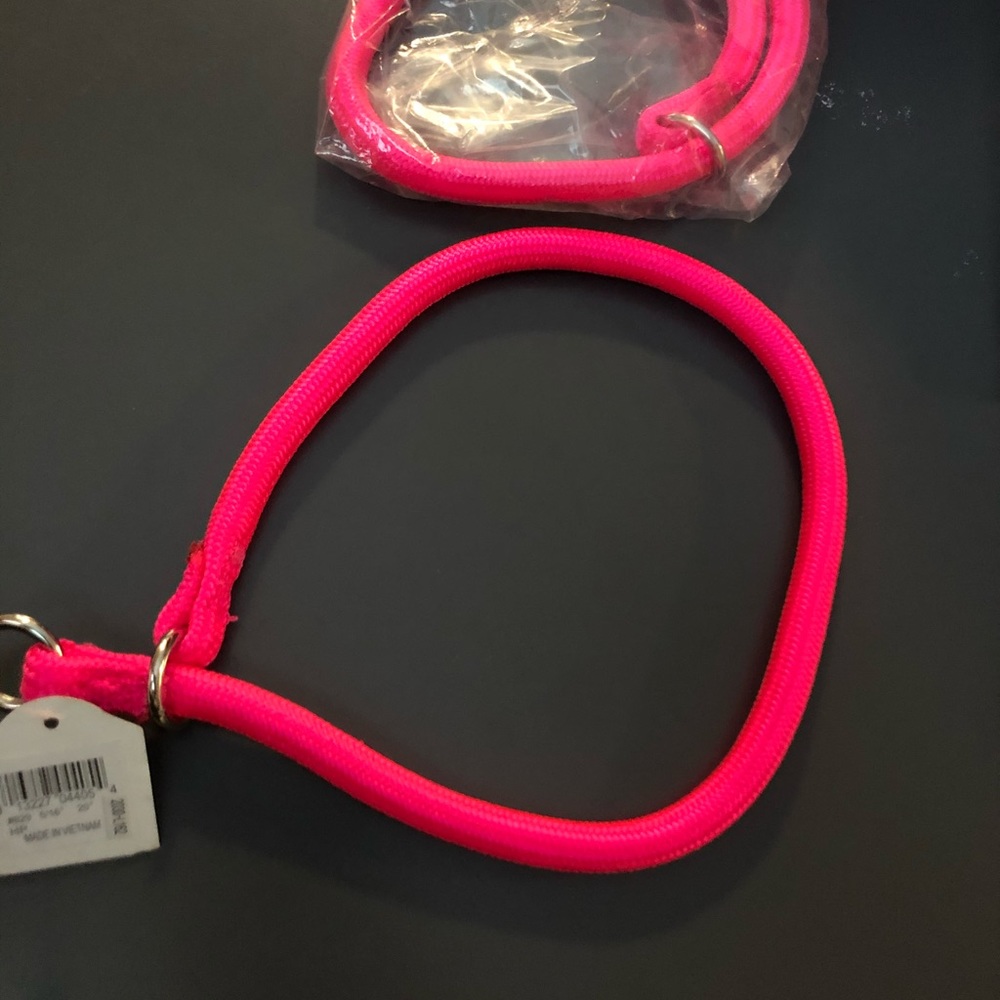 Hamilton 5/16 inch nylon dog collar.